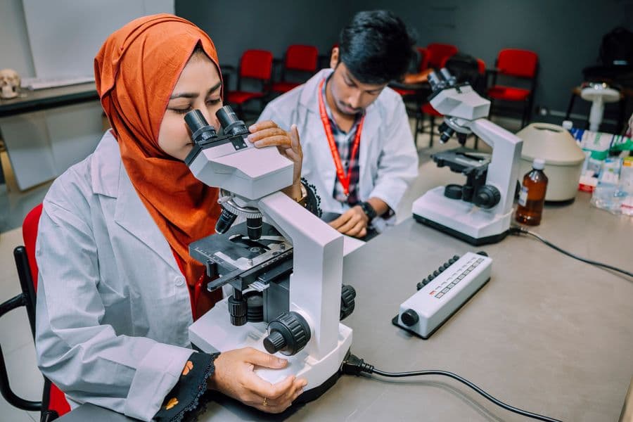 Postgraduate researchers working at laboratory benches.